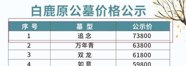 西安白鹿原公墓墓型追念73800